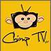 Chimp TV